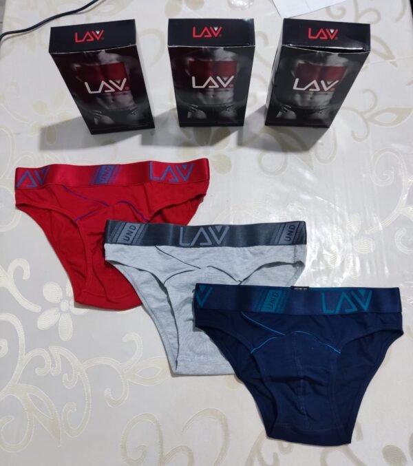 Brief Lav (cod.1181)