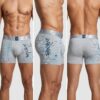 1792352813661 Bóxer Lav 1344 (Estampado)