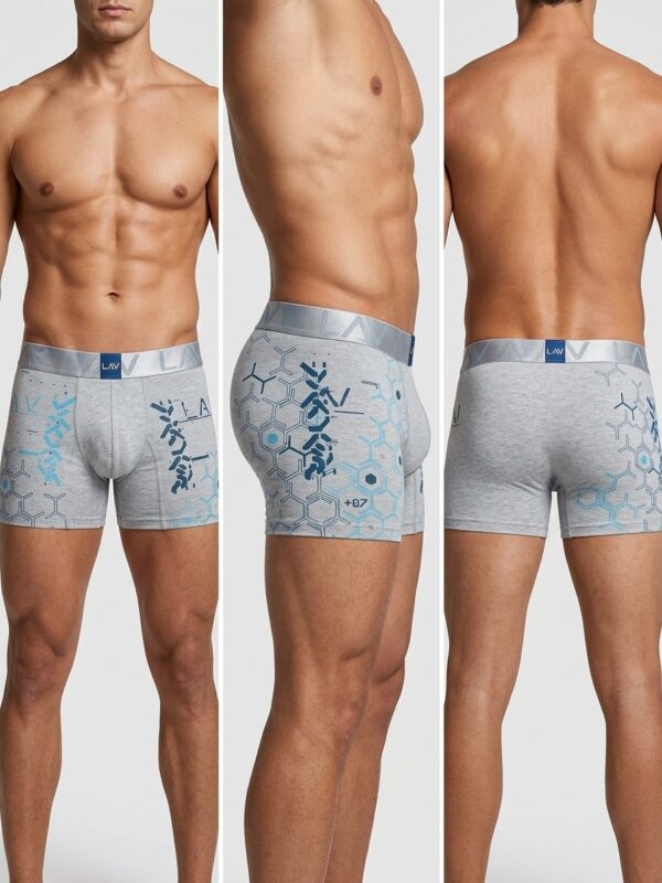 1792352813661 Bóxer Lav 1344 (Estampado)